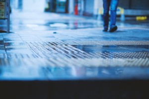 四季を感じる困りもの