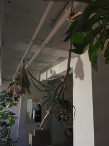 センスがいい店セレクション