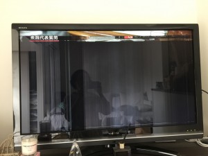 女性が活躍中です。